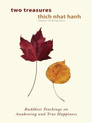 Two Treasures - ebook